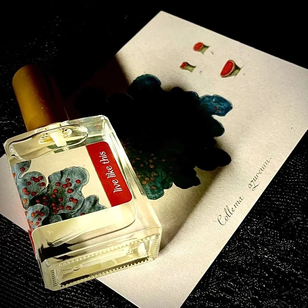 Harbinger 'Live Like This' Parfum - Multiple Sizes