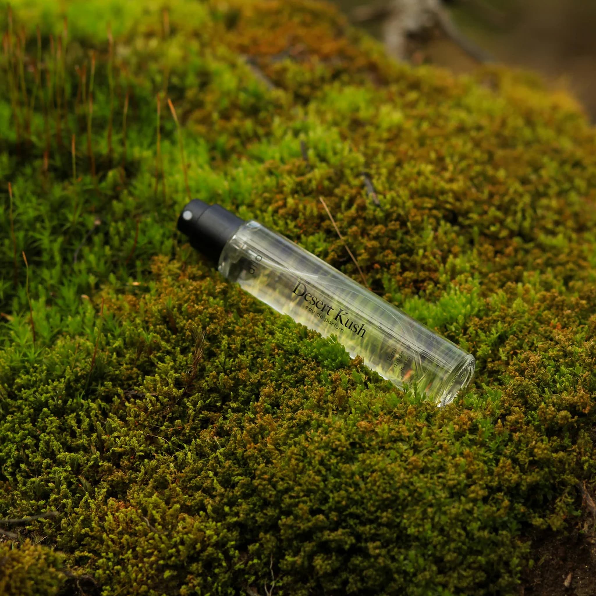 Clear bottle of dilo Desert Kush perfume with black cap on a green mossy surface