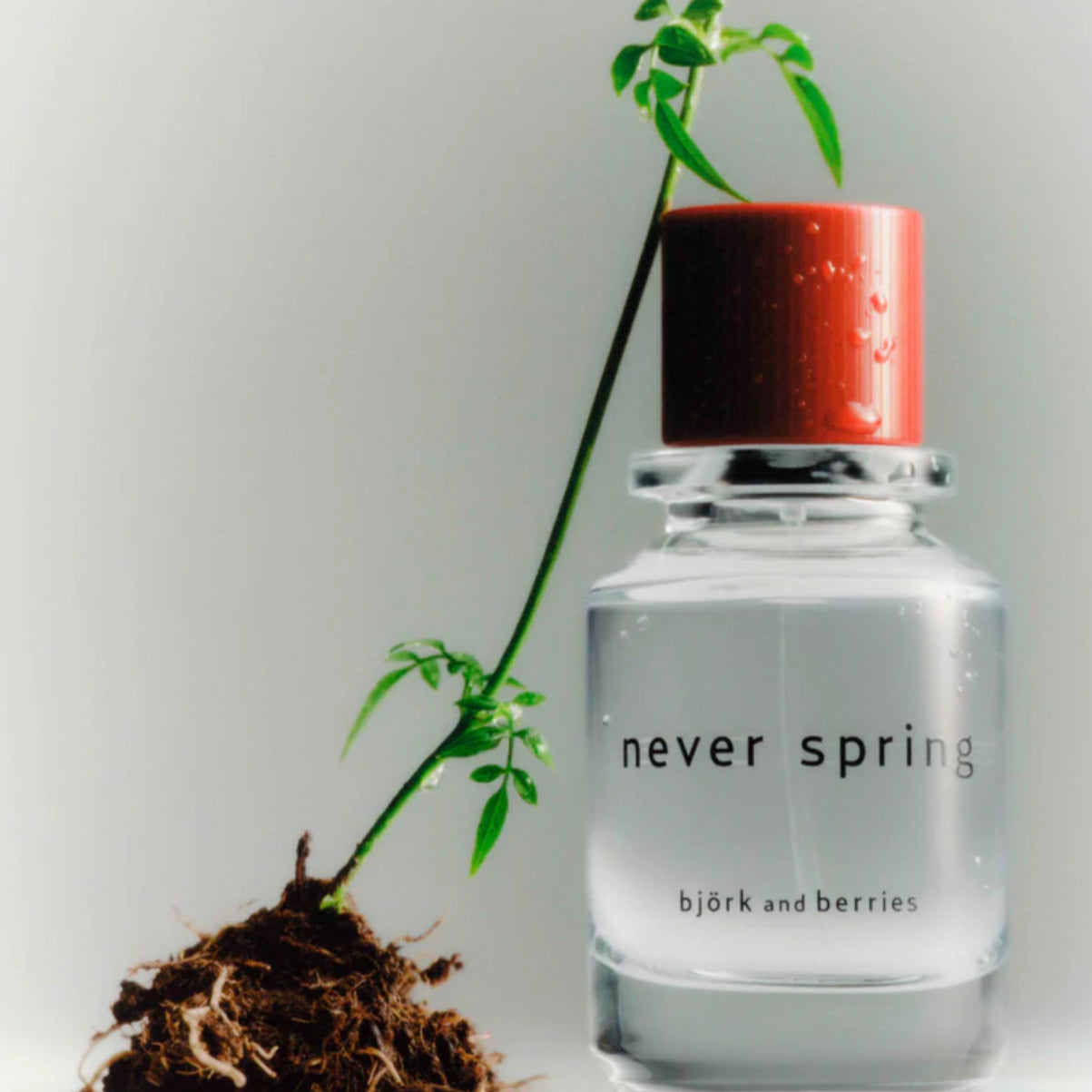 Björk and Berries Never Spring Eau de Parfum