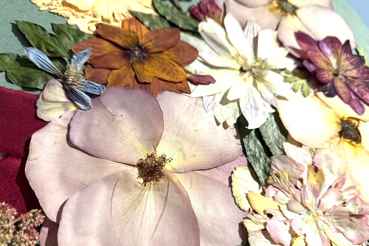 A close-up of a pressed floral arrangement featuring a large pale pink flower, cream and yellow blossoms, a copper-colored flower, green leaves, and a small blue flower on a textured sage green background.