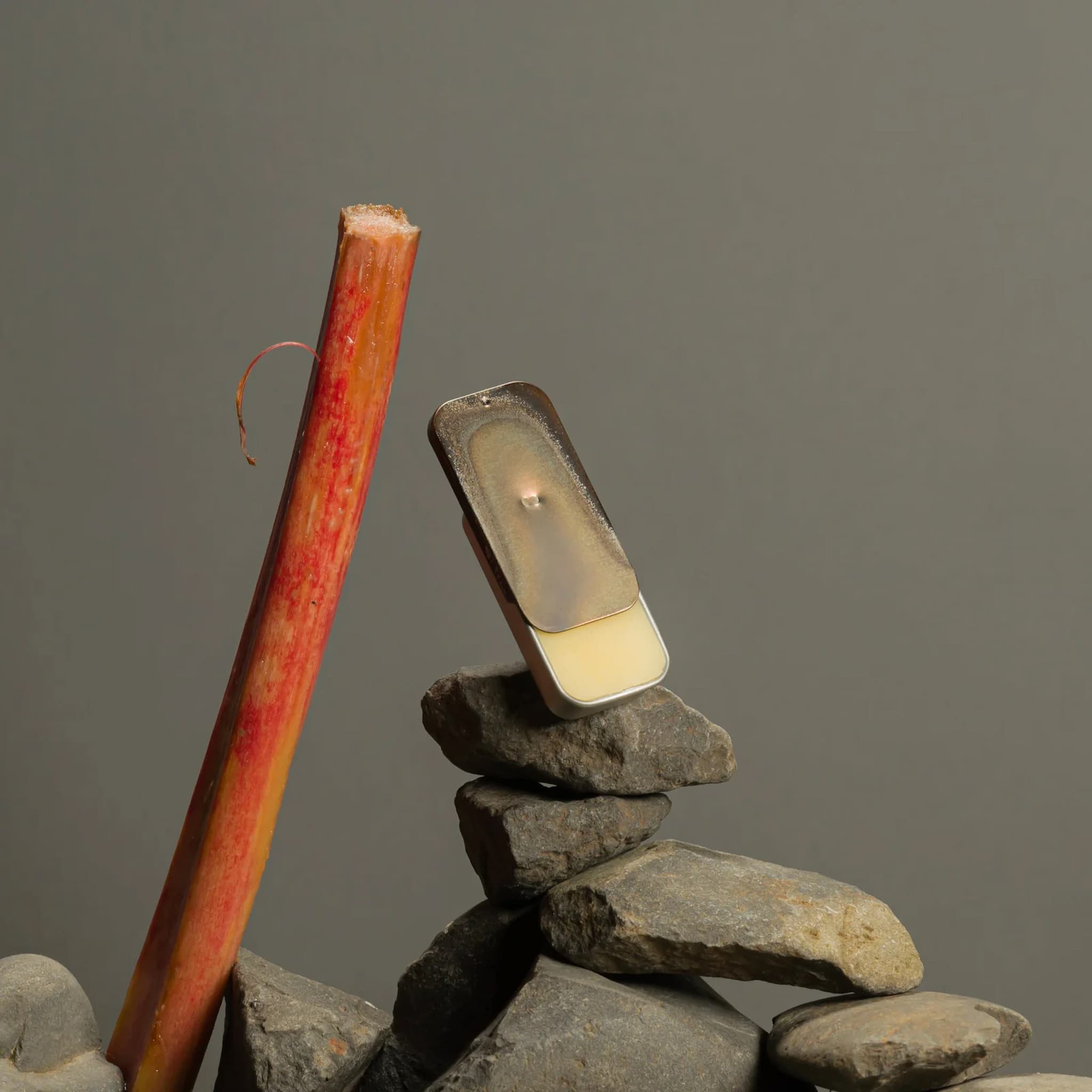 Stack of stones with a tin of Fischersund solid perfume and red rhubarb stalk on a gray background