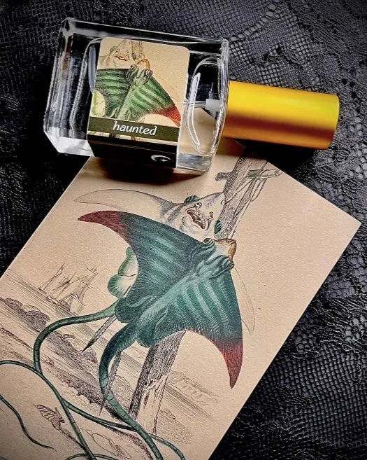 Harbinger 'Haunted' Parfum - Multiple Sizes