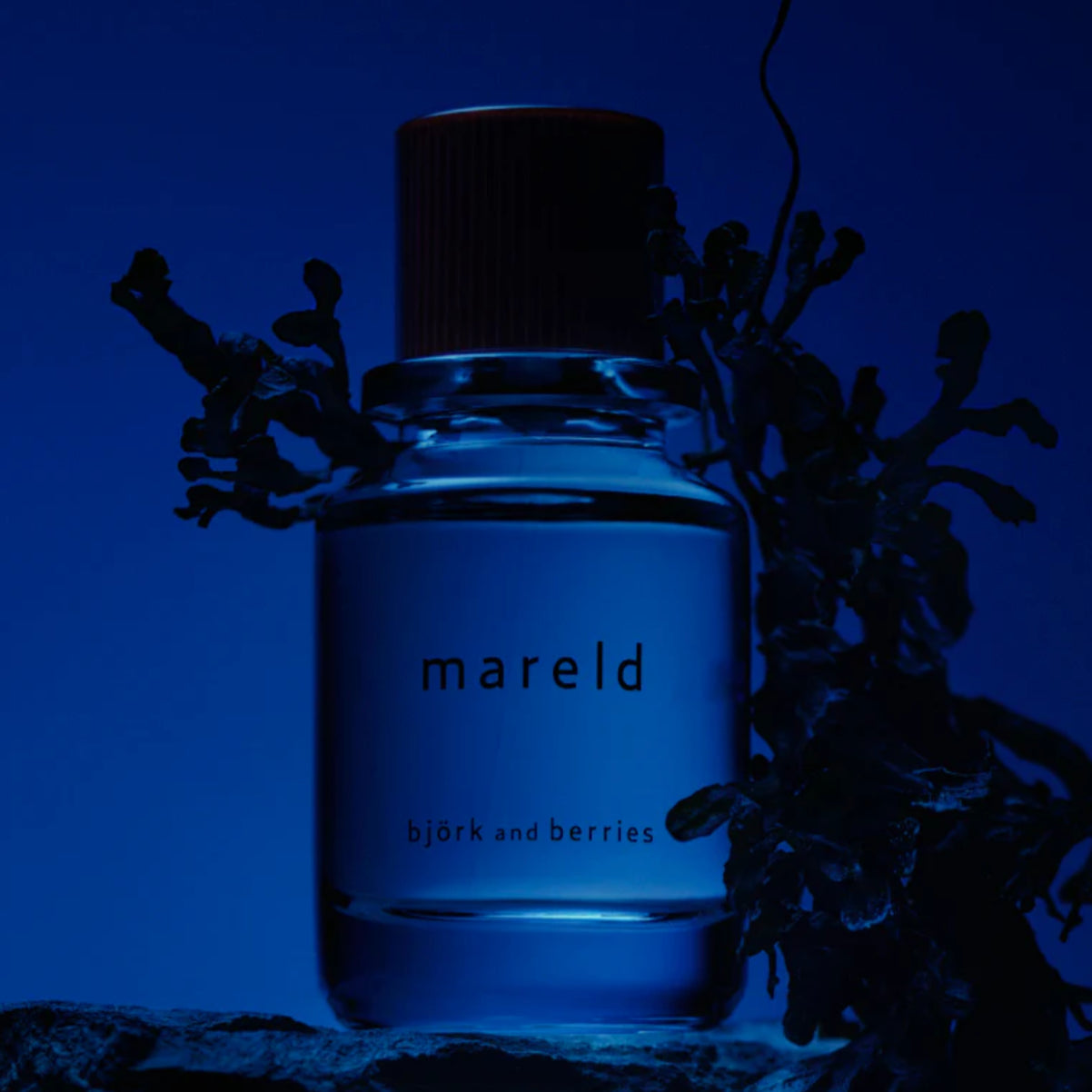 Björk and Berries Mareld Eau de Parfum