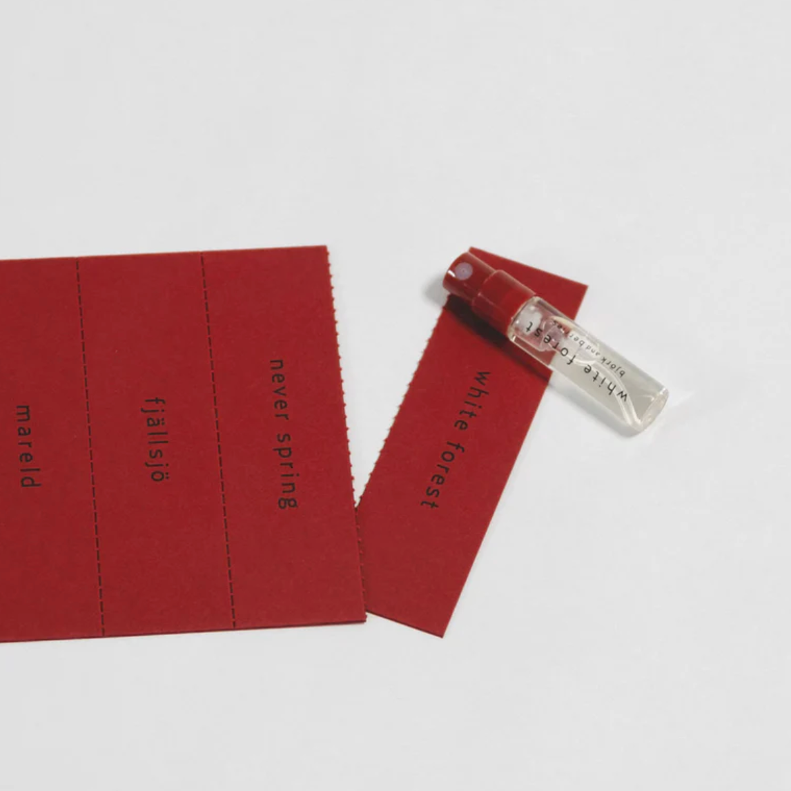 Björk and Berries Discovery Set Signature Collection