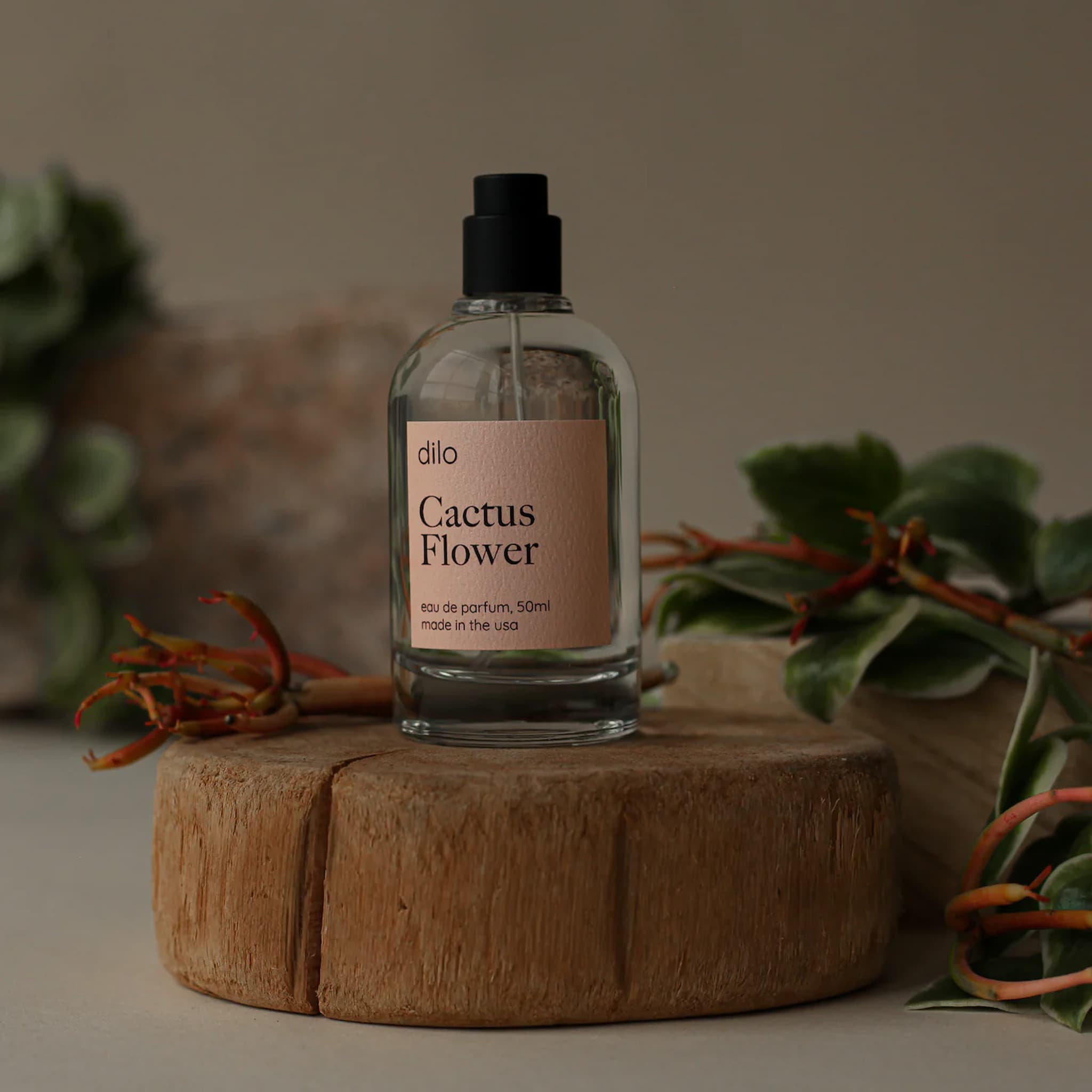 Dilo Cactus Flower perfume bottle on a wooden platform with plants in the background