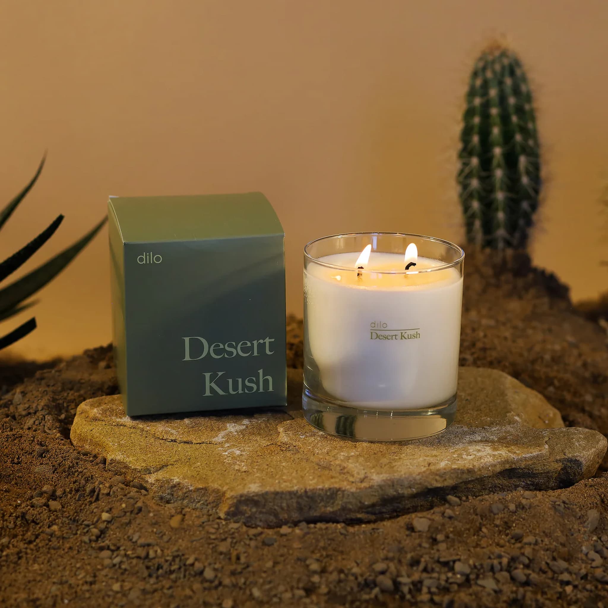 Dilo candle labeled 'Desert Kush' on a stone surface with a cactus in the background
