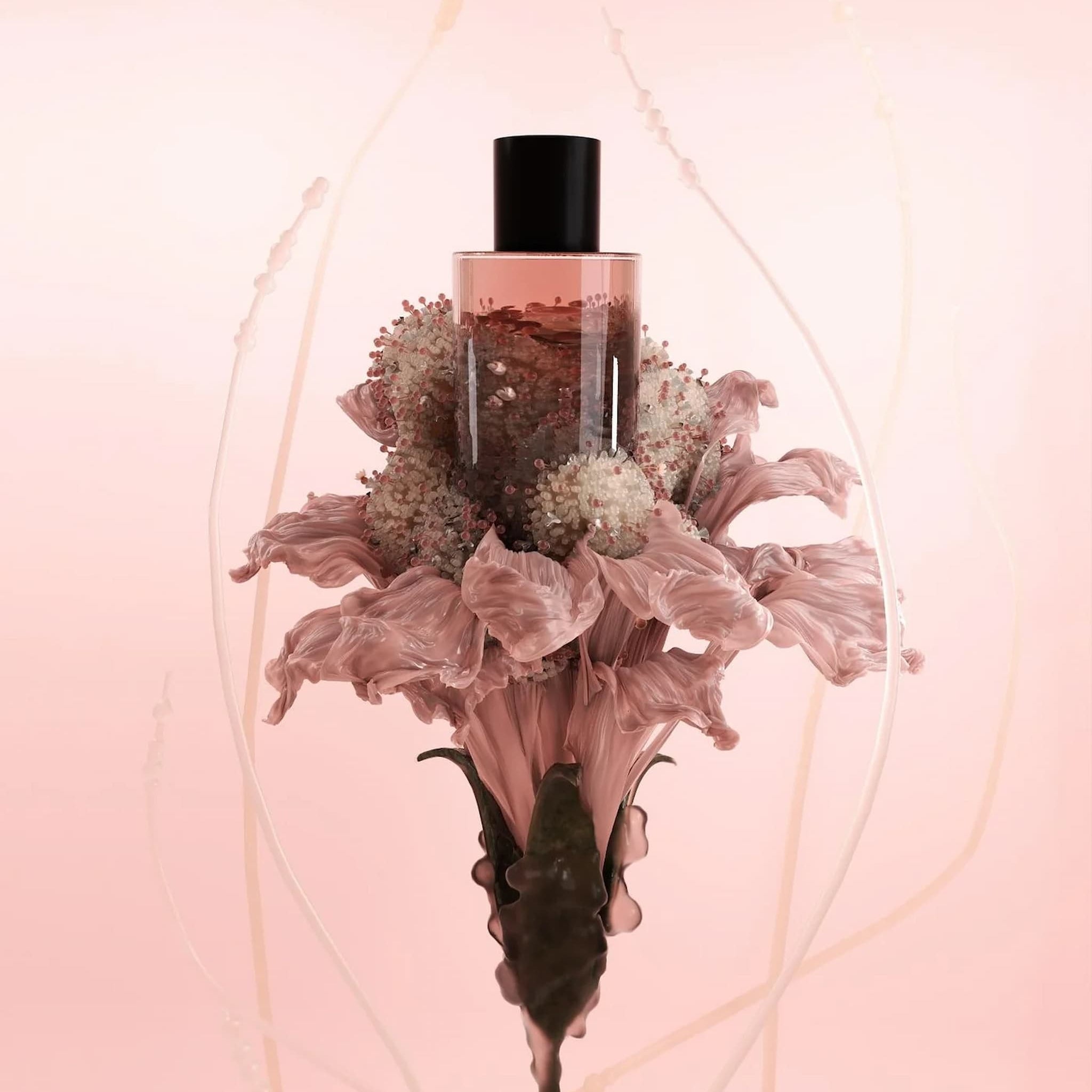 Fischersund Faux Flora No.1 Birth Fragrance | Witch Hazel