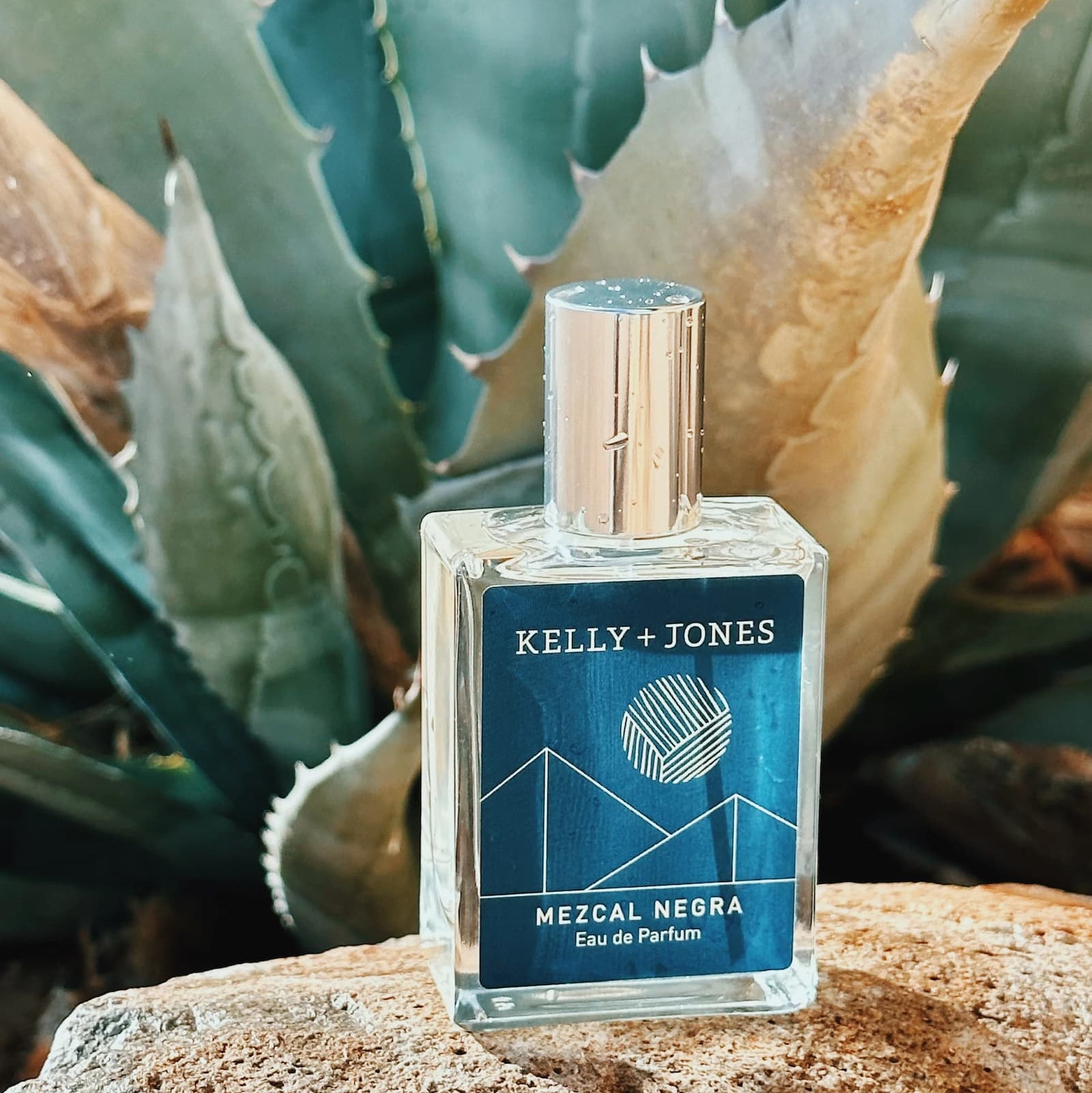 Kelly + Jones Mezcal Negra eau de parfum bottle on a rock with cacti in the background.