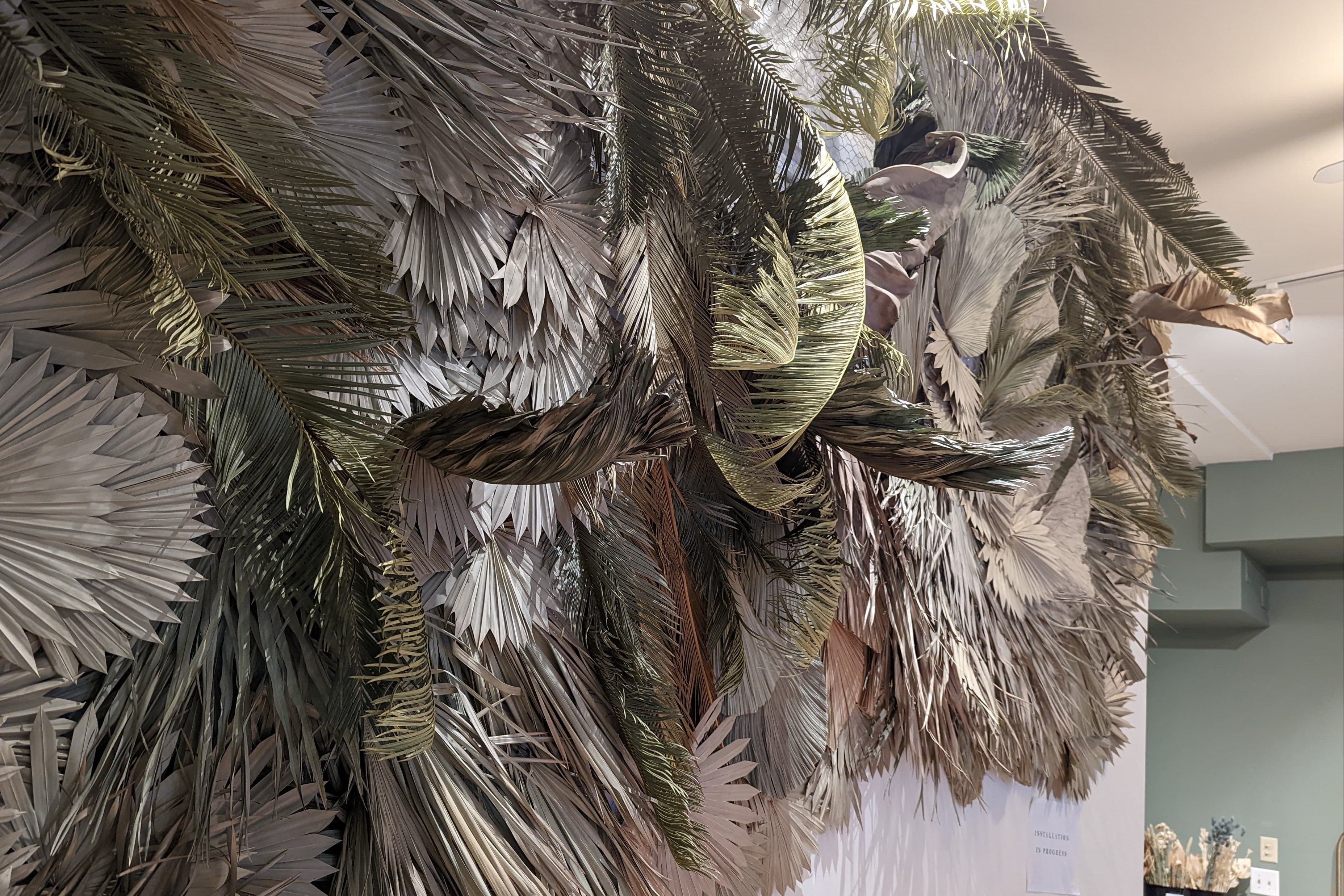Large dried palm leaf wall art installation at Witch Hazel in Beacon, NY, made of layered silver-gray and olive green fronds, photographed indoors against a white wall.