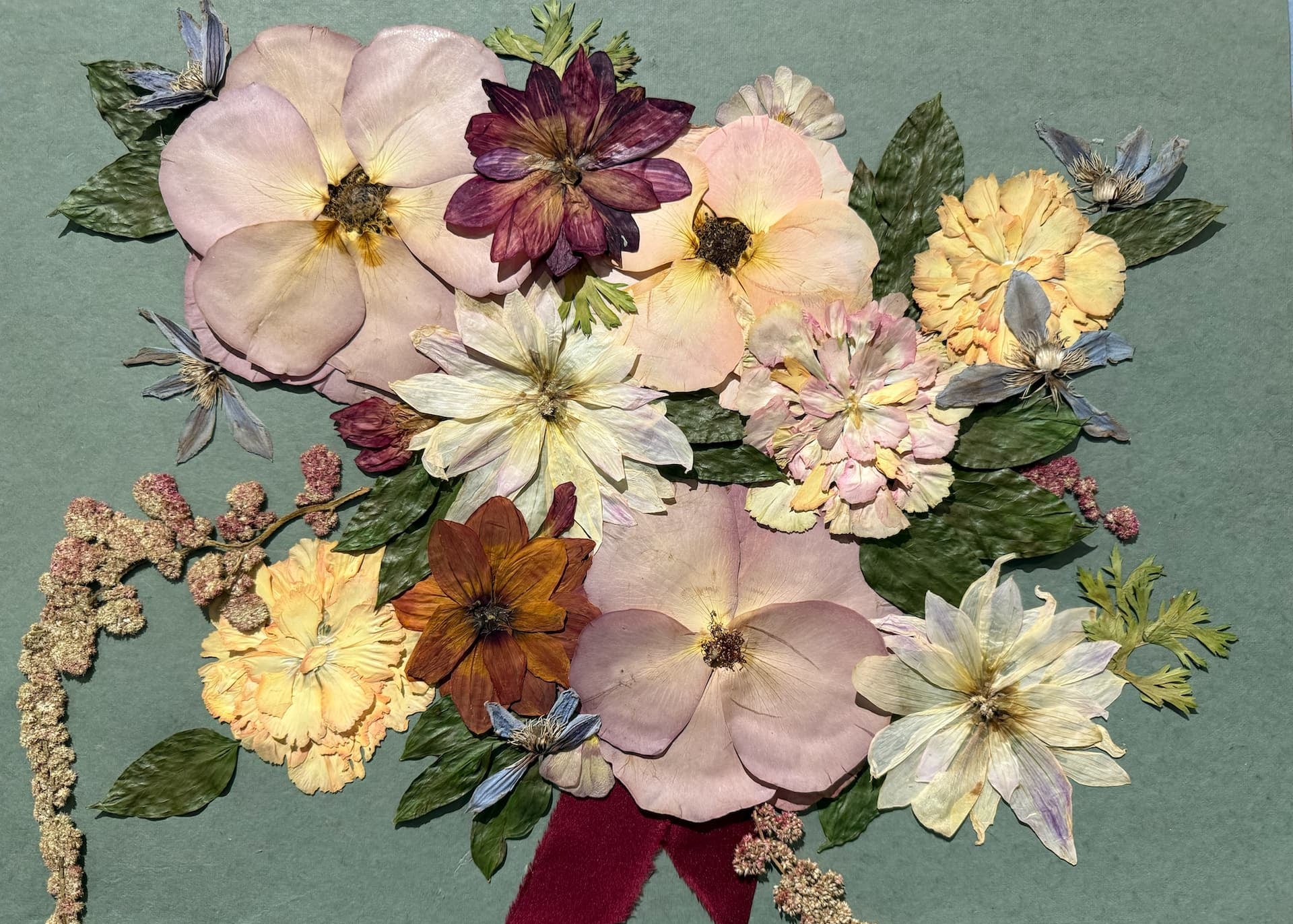 A pressed bridal bouquet featuring pink, red, orange, yellow, and white flowers and greenery, on a sage green paper background with accents of burgundy bridal bouquet ribbon.